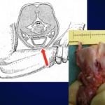 Screenshot 2025-11-22 at 1.18.43 PM